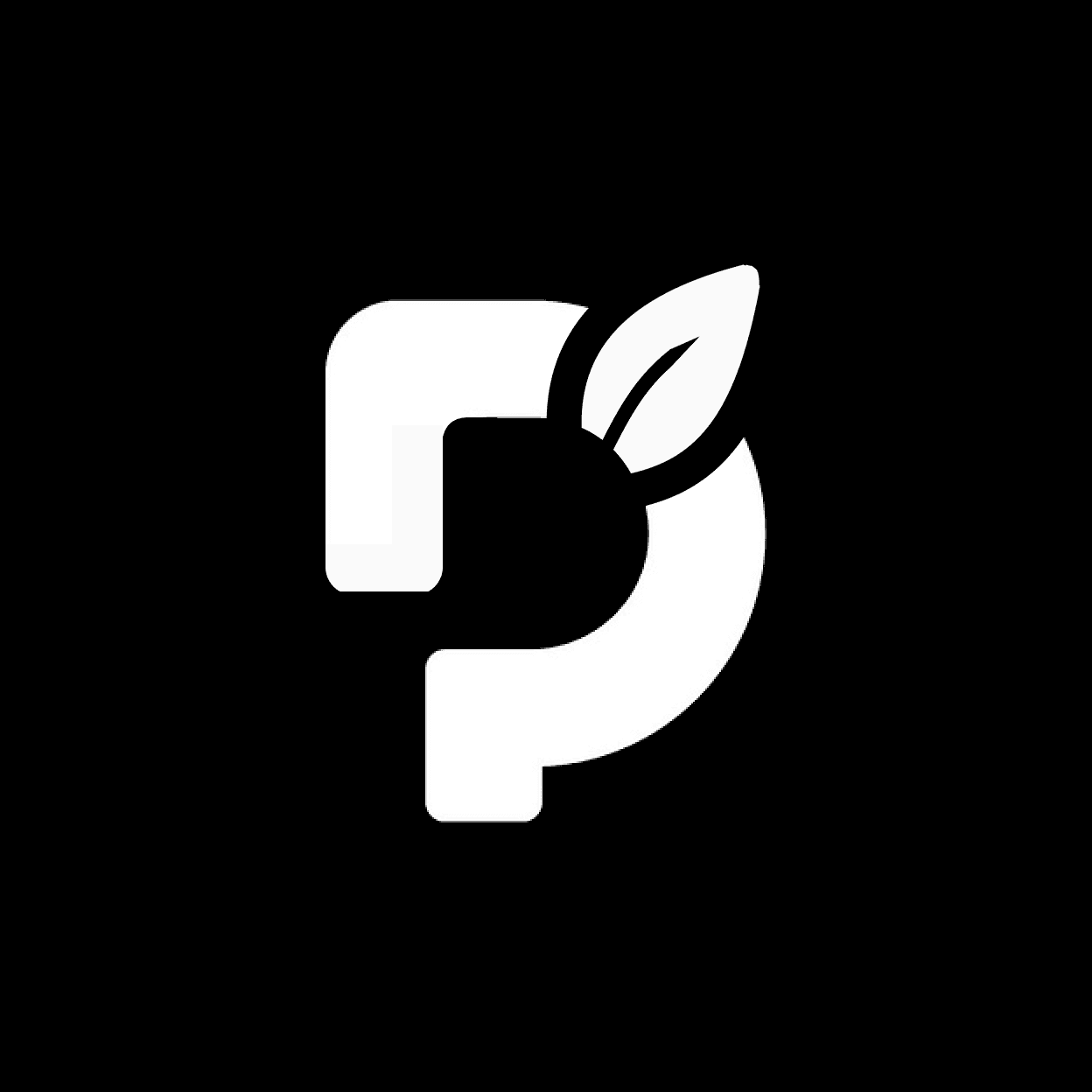 Pionyr logo